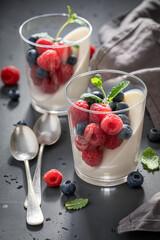 Cold and delicious Panna Cotta as Italian classic dessert.