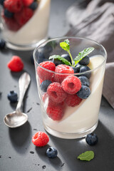 Sweet and fresh Panna Cotta made of gelatin and berries.