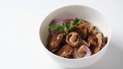 Salted mushrooms, Lactarius resimus, autumn harvest. Homemade pickled mushrooms, marinated red onion rings pepper, garlic, and bay leaf. Salted Lactarius resimus with oil and fresh chopped dill