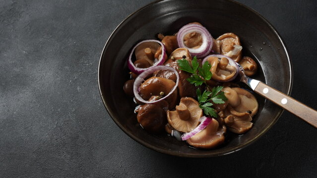 Salted mushrooms, Lactarius resimus, autumn harvest. Homemade pickled mushrooms, marinated red onion rings pepper, garlic, and bay leaf. Salted Lactarius resimus with oil and fresh chopped dill