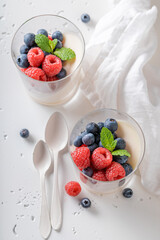 Homemade Panna Cotta made of cream, vanilla and sugar.