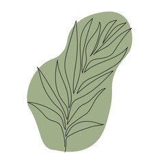 tropical leaf minimalist illustration one line