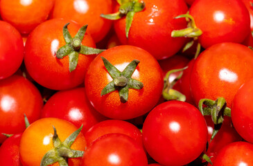 Red cherry tomatoes as background.