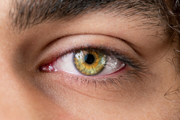 Close up, macro photo of a color eye, iris, pupil, eye lashes, eye lids.