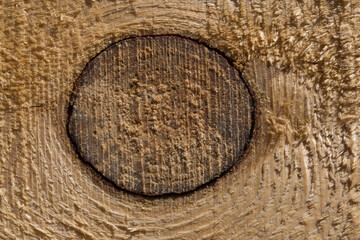 close up of twig on light brown wooden board