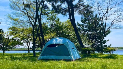 camping in the forest
tree 
day camping 
camping 
park 
riverside 
sea 
blue sky 
reflection 
blue 
sky 
leaf 
sunny 
tent 
公園
青
青空
木
キャンプ
ディキャンプ
テント
リフレッシュ