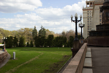Beautiful urban glade with green grass and growing Christmas trees