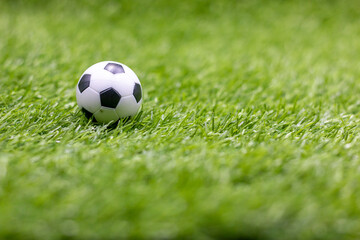 Soccer ball is on green grass
