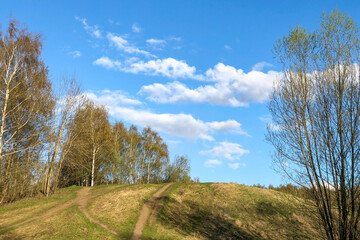Fototapeta na wymiar Trees on the hill at sunny day under blue sky with white clouds