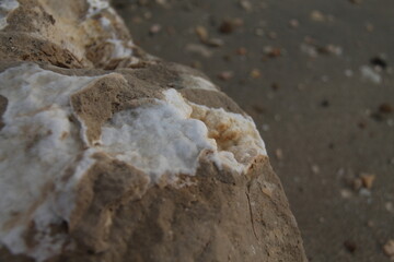 A rock in front of the beach with sea salt on it