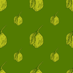 Seamless pattern engraved lemon on branch with leaves. Vintage background lime growing on twig in hand drawn style.