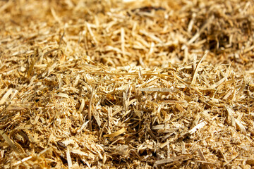 Sawdust close-up. A man takes sawdust in his hand.