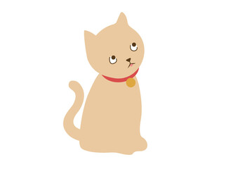 上目で見てる舌の出てる子猫