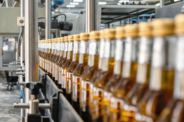 Production line transports closed bottles of yellow alcohol