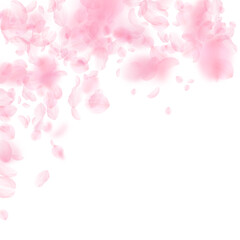 Obraz na płótnie Canvas Sakura petals falling down. Romantic pink flowers falling rain. Flying petals on white square background. Love, romance concept. Majestic wedding invitation.