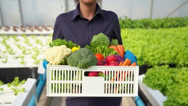 Smiling African woman farmer holding a crate of fresh organic vegetables in hydroponics system greenhouse garden. Small business food delivery, restaurant and supermarket vegan food concept