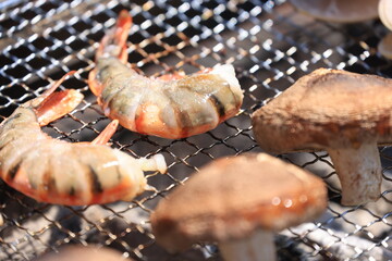 網の上でエビを焼く