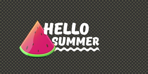 Vector Hello Summer Beach Party horizontal banner Design template with fresh watermelon slice isolated on grey background. Hello summer concept label or poster with fruit and typographic text.