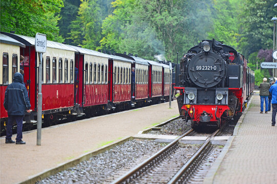 Mecklenburgische B&auml;derbahn Molli