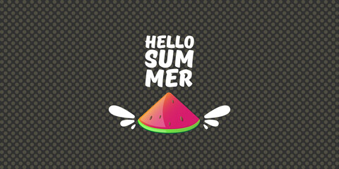 Vector Hello Summer Beach Party horizontal banner Design template with fresh watermelon slice isolated on grey background. Hello summer concept label or poster with fruit and typographic text.