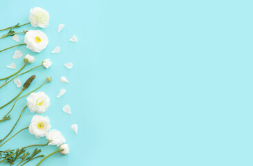Top view image of white flowers composition over blue pastel background