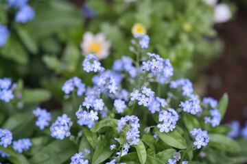 目を凝らした先にある世界