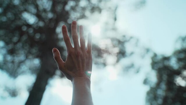 Close-up of a hand playing with sunlight. Beautiful sun glare through the fingers. Romantic picnic in the forest. The sun shines through the leaves of the tree. Warm day outdoors. Thin female hand.