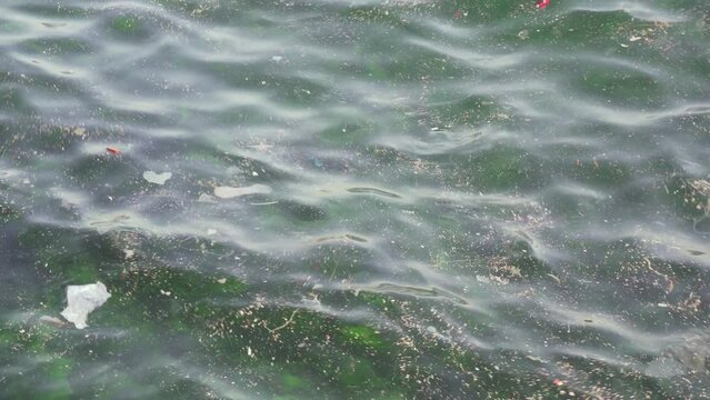 Garbage in the sea. Polluted water of the Bosporus