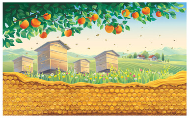 Bee apiary with bee honeycomb in the foreground against the background of a rural landscape with a village. Vector illustration. - obrazy, fototapety, plakaty