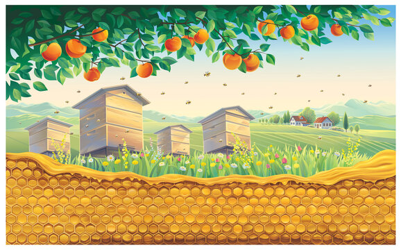 Bee apiary with bee honeycomb in the foreground against the background of a rural landscape with a village. Vector illustration.