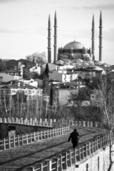 Obraz premium blue mosque