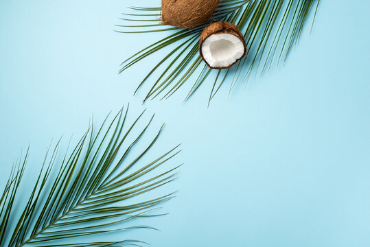 Summer concept. Top view photo of cracked coconuts and palm leaves on isolated pastel blue background with copyspace