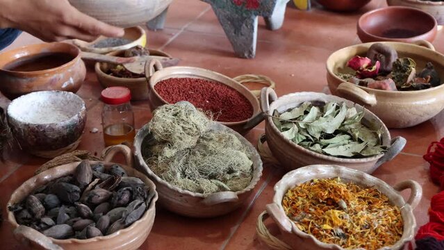 Bowls of Plants used to Make Natural Dyes in Oaxaca Mexico