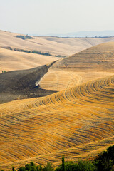 Panorami della Val d'Orcia colline di Montalcino, terra del Brunello