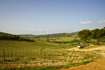 Fototapeta na wymiar San Giminiano, hills landscape