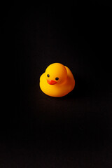Yellow  funny duck