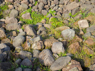 Remains of the old pavement. Ancient stonework. Lots of cobblestones on the grass.
