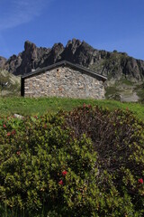 chalet de montagne dans les alpes