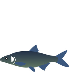 Fish Eps Vector animal silhouette