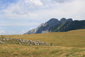 plateau, p&acirc;turages, montagnes, rocs., alpages, alpes 