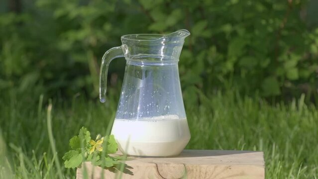 Fresh milk in glass standing on lawn in middle of grass. Concept of healthy eating, organic food and drinks, natural product. Milk pour from jug into glass outdoors. Countryside, summer day outdoor