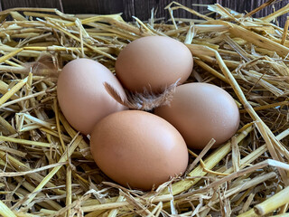 Four fresh chicken eggs in the hay. Organic egg.