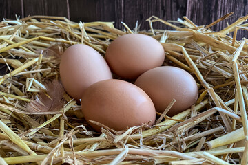 Four fresh chicken eggs in the hay. Organic egg.