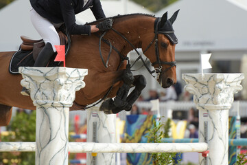 view on an equestrian show jumping competition