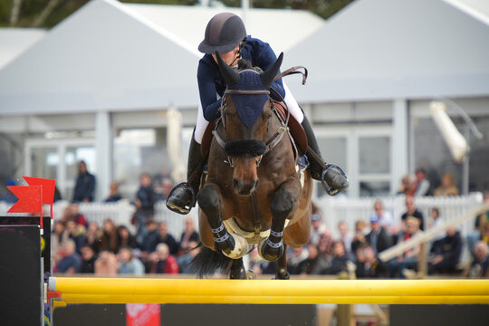 view on an equestrian show jumping competition