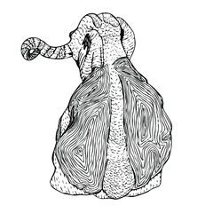 Hand drawn sketch illustration of elephant.
