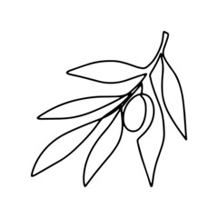 Hand drawn olive branch isolated on white background. Outline olive tree branch for menu, logo, greeting cards, patterns, web. Line art, one line.