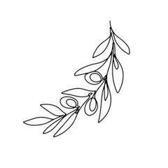 Hand drawn olive branch isolated on white background. Outline olive tree branch for menu, logo, greeting cards, patterns, web. Line art, one line.