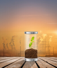 young plant in a glass jar against - background of factories with smoke-Global warming...