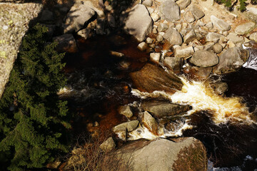 Scenic view of a small river in a forest in Jelenia Gora in Southern Poland